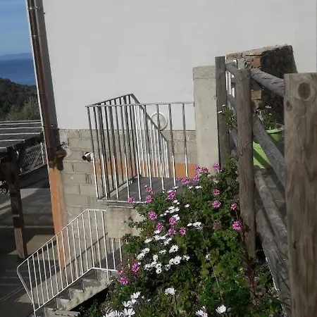 Apartment Giannoni