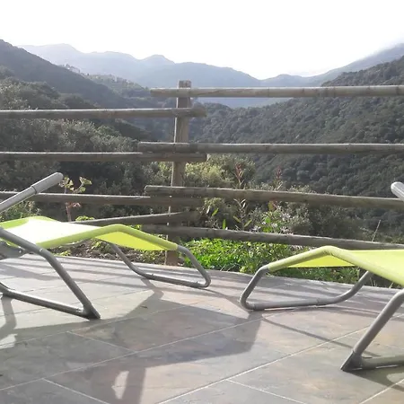 Apartment Giannoni San-Martino-di-Lota