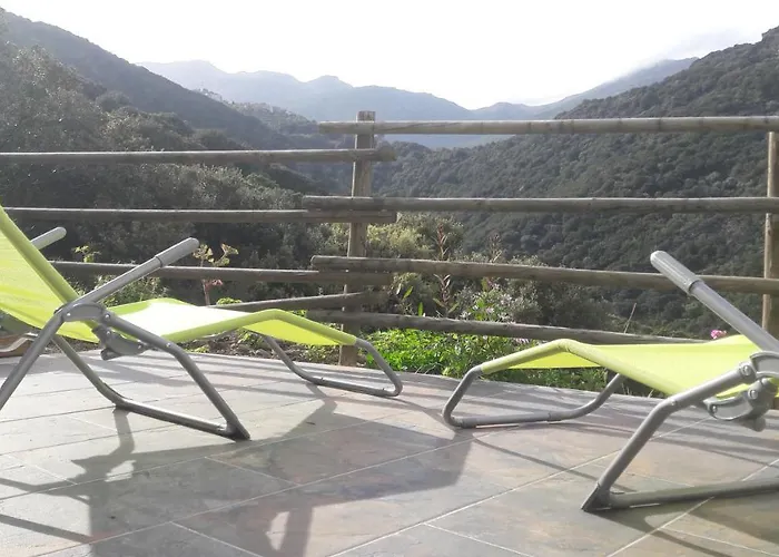 Appartement Giannoni San-Martino-di-Lota