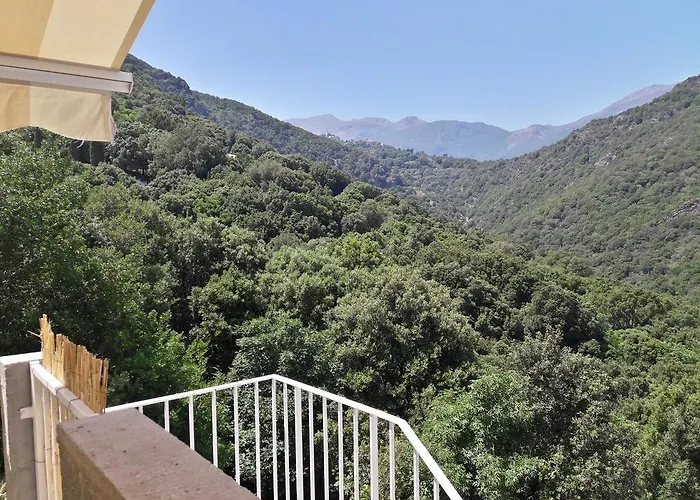 Appartement Giannoni San-Martino-di-Lota